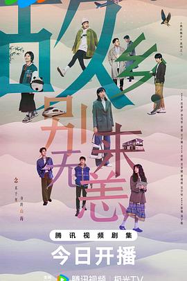 徐州专业seo优化排名